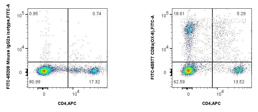 Flow cytometry (FC) experiment of rat splenocytes cells using FITC Plus Anti-Rat CD8a (OX-8) Mouse IgG2a Recombi (FITC-65577)