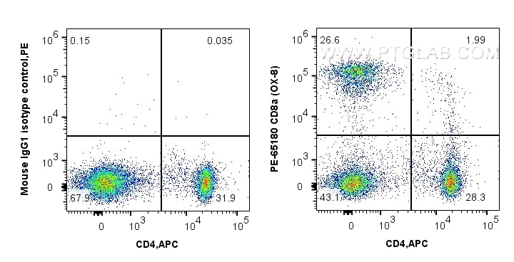 Flow cytometry (FC) experiment of rat splenocytes cells using PE Anti-Rat CD8a (OX-8) (PE-65180)