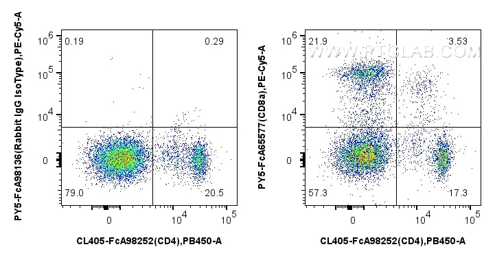 FC experiment of rat splenocytes using PY5-FcA65577 Flow cytometry (FC) experiment of rat splenocytes cells using FcZero-rAb® PE-Cyanine5 Anti-Rat CD8a (OX-8) Rabbi (PY5-FcA65577)