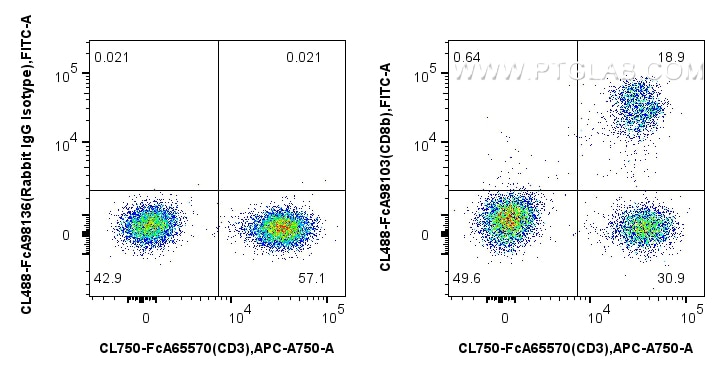 FC experiment of human PBMCs using CL488-FcA98103 Flow cytometry (FC) experiment of human PBMCs using FcZero-rAb® CoraLite® Plus 488 Anti-Human CD8b Rab (CL488-FcA98103)