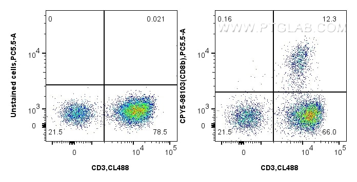 Flow cytometry (FC) experiment of human PBMCs using PerCP-Cyanine5.5 Anti-Human CD8b Rabbit Recombinan (CPY5-98103)