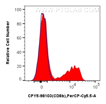 1x10^6 human PBMCs were surface stained with 5 ul PerCP-Cyanine5.5 Anti-Human CD8b Rabbit RecAb (CPY5-98103, Clone: 241326A7) (red) or unstained (blue). Cells were not fixed. Flow cytometry (FC) experiment of human PBMCs using PerCP-Cyanine5.5 Anti-Human CD8b Rabbit Recombinan (CPY5-98103)