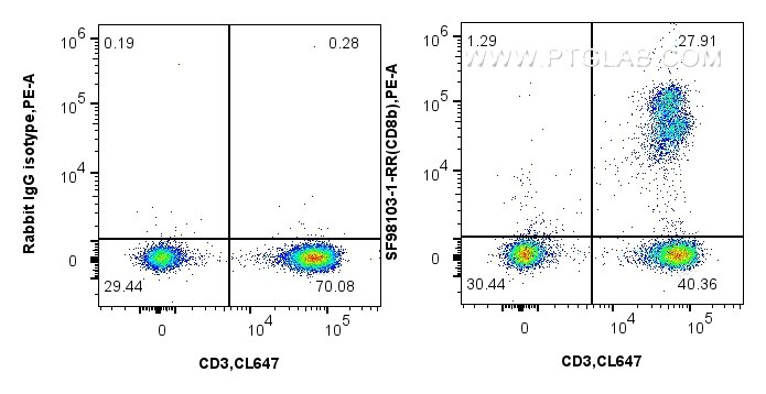 FC experiment of human PBMCs using SF98103-1-RR Flow cytometry (FC) experiment of human PBMCs using Anti-Human CD8b Rabbit scFv Antibody (SF98103-1-RR)