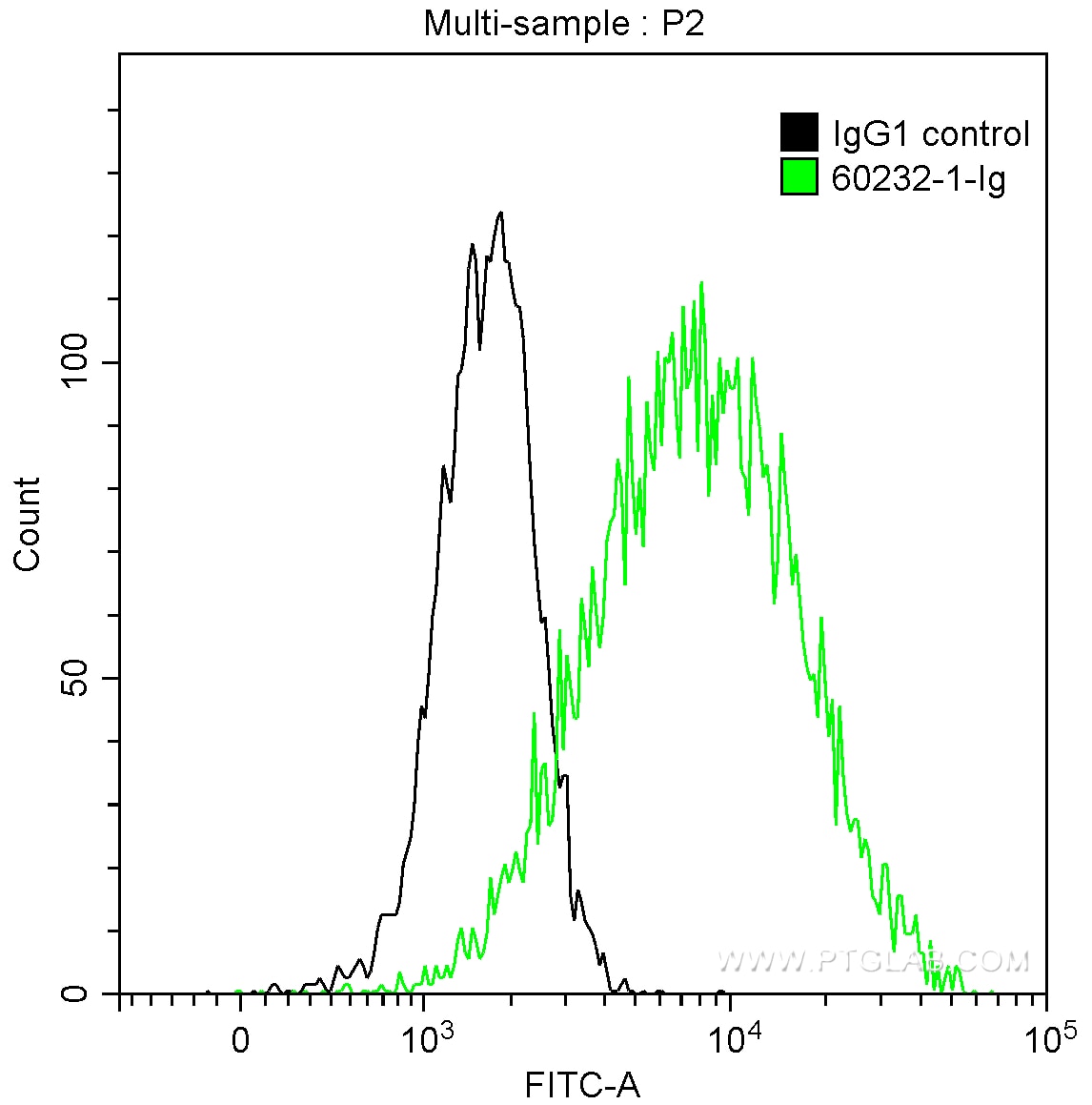 FC experiment of HeLa using 60232-1-Ig