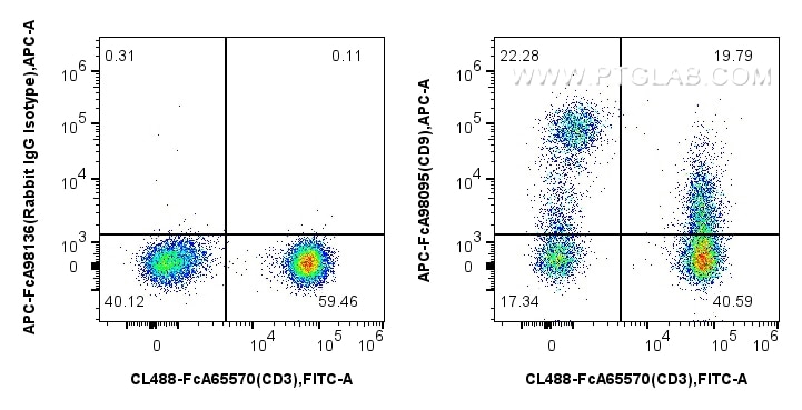 1x10^6 human PBMCs were surface stained with FcZero-rAb™ CoraLite® Plus 488 Anti-Human CD3 (UCHT1), and 5 ul APC Anti-Human CD9 Rabbit RecAb (APC-FcA98095, Clone: 240830E6) or APC Rabbit IgG Isotype Control RecAb (APC-FcA98136, Clone: 240953C9). Cells were not fixed. Flow cytometry (FC) experiment of human PBMCs using FcZero-rAb™ APC Anti-Human CD9 Rabbit Recombinant (APC-FcA98095)