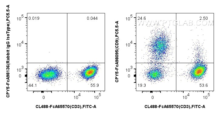 1x10^6 human PBMCs were surface stained with CoraLite® Plus 488 Anti-Human CD3 (UCHT1), and 5 ul PerCP-Cyanine5.5 Anti-Human CD9 Rabbit RecAb (CPY5-FcA98095, Clone: 240830E6) or Rabbit IgG Isotype Control RecAb (CPY5-FcA98136, Clone: 240953C9). Cells were not fixed. Flow cytometry (FC) experiment of human PBMCs using FcZero-rAb™ PerCP-Cyanine5.5 Anti-Human CD9 Rabbit (CPY5-FcA98095)