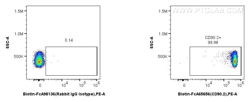 1x10^6 mouse thymocytes were surface stained with 0.25 ug Biotin Anti-Mouse CD90.2 (30-H12) Rabbit IgG RecAb (Biotin-FcA65656, Clone: 30-H12) or 0.25 ug Biotin-conjugated IgG control Rabbit PolyAb (Biotin-FcA98136), and PE-conjugated streptavidin. Cells were not fixed. Flow cytometry (FC) experiment of mouse thymocytes using FcZero-rAb™ Biotin Anti-Mouse CD90.2 (30-H12) Rabb (Biotin-FcA65656)