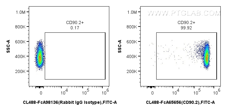 FC experiment of mouse thymocytes using CL488-FcA65656 Flow cytometry (FC) experiment of mouse thymocytes using FcZero-rAb™ CoraLite® Plus 488 Anti-Mouse CD90.2 ( (CL488-FcA65656)