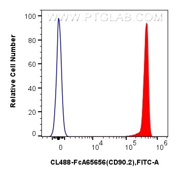 FC experiment of mouse thymocytes using CL488-FcA65656 Flow cytometry (FC) experiment of mouse thymocytes using FcZero-rAb™ CoraLite® Plus 488 Anti-Mouse CD90.2 ( (CL488-FcA65656)