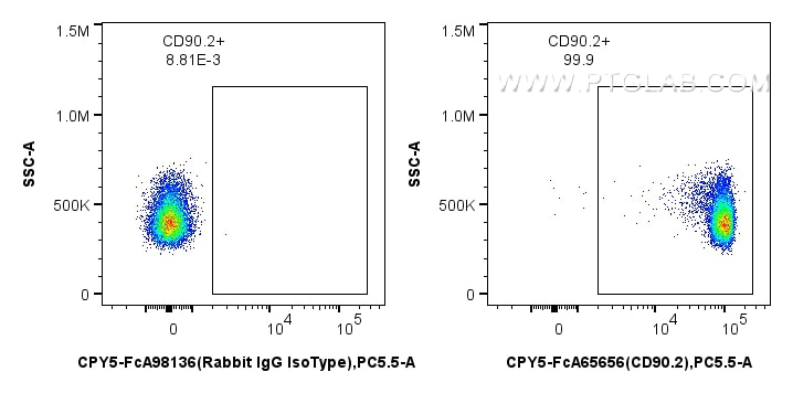 1x10^6 mouse thymocytes were surface stained with 0.25 ug PerCP-Cyanine5.5 Anti-Mouse CD90.2 (30-H12) Rabbit IgG RecAb (CPY5-FcA65656, Clone: 30-H12) or 0.25 ug Rabbit IgG Isotype Control RecAb (CPY5-FcA98136, Clone: 240953C9). Cells were incubated with MonoZero™ Monocytes blocking Reagent (PF00020) prior to staining. Cells were not fixed. Flow cytometry (FC) experiment of mouse thymocytes using FcZero-rAb™ PerCP-Cyanine5.5 Anti-Mouse CD90.2 (30 (CPY5-FcA65656)