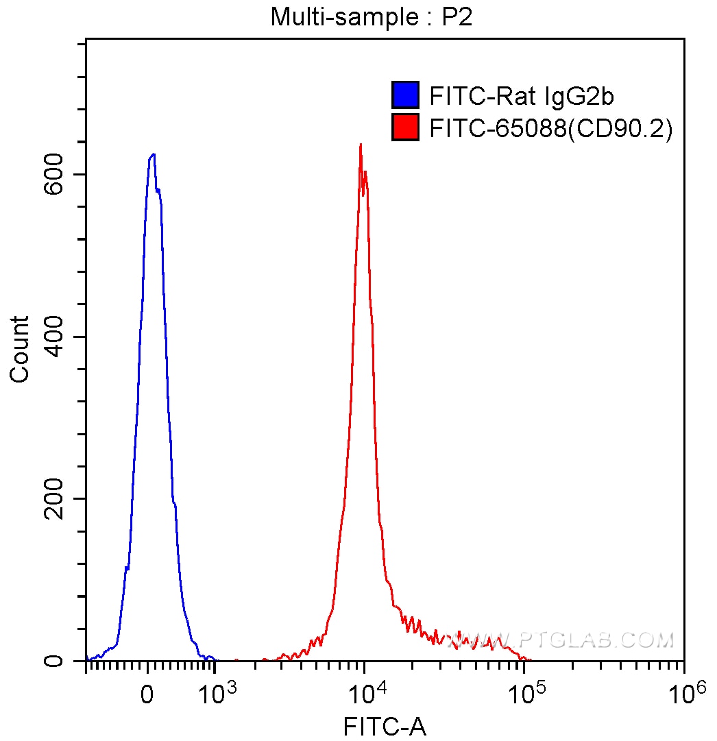 Flow cytometry (FC) experiment of BALB/c mouse thymocytes using FITC Anti-Mouse CD90.2 (30-H12) (FITC-65088)