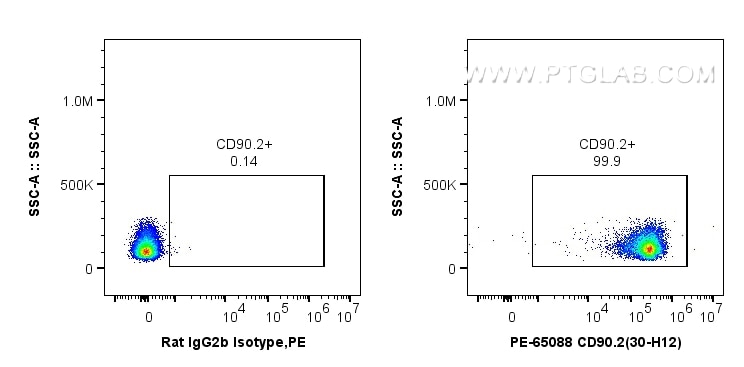 Flow cytometry (FC) experiment of mouse thymocytes using PE Anti-Mouse CD90.2 (30-H12) (PE-65088)