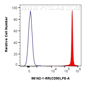 Flow cytometry (FC) experiment of rat thymocytes using Anti-Rat CD90 Rabbit Recombinant Antibody (98162-1-RR)