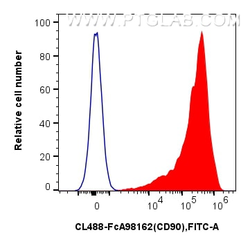 1x10^6 rat thymocytes were surface stained with 0.25 ug CoraLite® Plus 488 Anti-Rat CD90 Rabbit RecAb (CL488-FcA98162, Clone: 241388F3) (red) or 0.25 ug Rabbit IgG Isotype Control RecAb (CL488-FcA98136, Clone: 240953C9) (blue). Cells were not fixed. Flow cytometry (FC) experiment of rat thymocytes cells using FcZero-rAb™ CoraLite® Plus 488 Anti-Rat CD90 Rabbi (CL488-FcA98162)