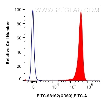 1x10^6 rat thymocytes were surface stained with 0.25 ug FITC Plus Anti-Rat CD90 Rabbit RecAb (FITC-98162, Clone: 241388F3) (red) or FITC Plus Rabbit IgG Isotype Control RecAb (FITC-98136, Clone: 240953C9) (blue). Cells were not fixed. Flow cytometry (FC) experiment of rat thymocytes cells using FITC Plus Anti-Rat CD90 Rabbit Recombinant Antibod (FITC-98162)