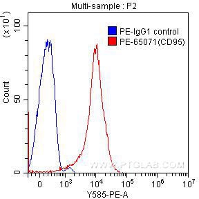 Flow cytometry (FC) experiment of human peripheral blood lymphocytes using PE Anti-Human CD95 (DX2) (PE-65071)