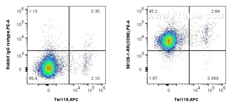 Flow cytometry (FC) experiment of mouse splenocytes using Anti-Mouse CD98/SLC3A2 Rabbit Recombinant Antibody (98128-1-RR)