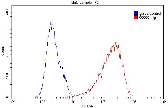 Flow cytometry (FC) experiment of HeLa cells using CD98/SLC3A2 Monoclonal antibody (66883-1-Ig)