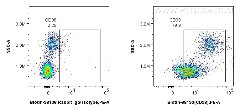 FC experiment of human PBMCs using Biotin-98190 Flow cytometry (FC) experiment of human PBMCs using Biotin Anti-Human CD98/SLC3A2 Rabbit Recombinant A (Biotin-98190)