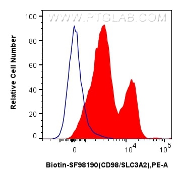 Flow cytometry (FC) experiment of human PBMCs using Biotin Anti-Human CD98/SLC3A2 Rabbit scFv Antibody (Biotin-SF98190)