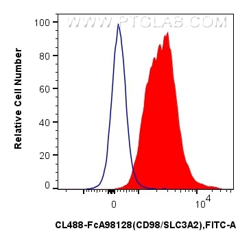 FC experiment of mouse splenocytes using CL488-FcA98128 Flow cytometry (FC) experiment of mouse splenocytes using FcZero-rAb® CoraLite® Plus 488 Anti-Mouse CD98/SLC (CL488-FcA98128)