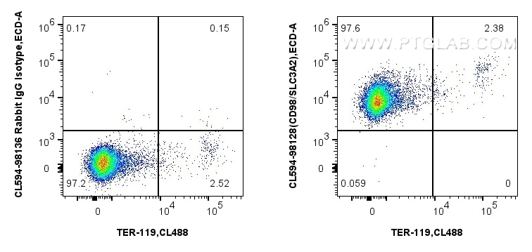 Flow cytometry (FC) experiment of mouse splenocytes using CoraLite®594 Anti-Mouse CD98/SLC3A2 Rabbit Recombi (CL594-98128)