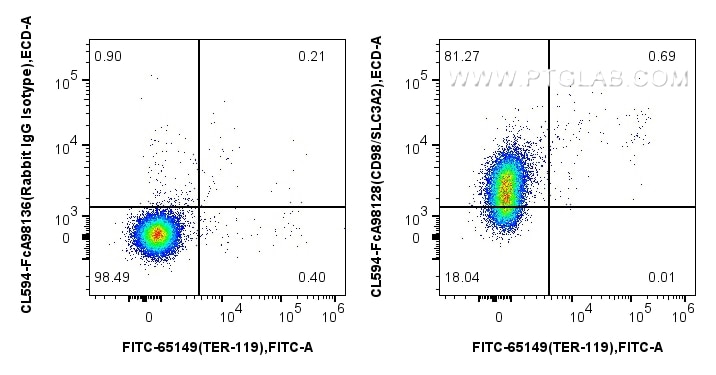 FC experiment of mouse splenocytes using CL594-FcA98128 Flow cytometry (FC) experiment of mouse splenocytes using FcZero-rAb® CoraLite® Plus 594 Anti-Mouse CD98/SLC (CL594-FcA98128)