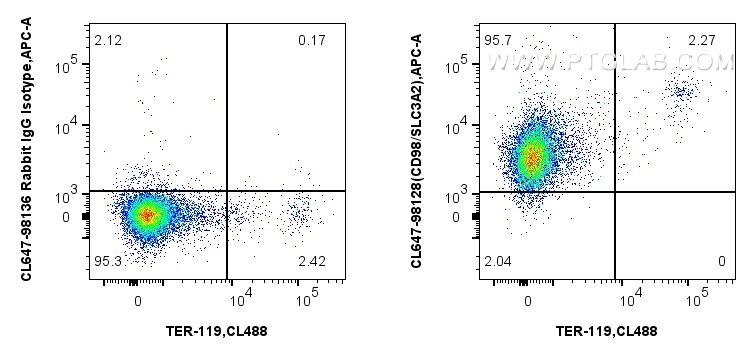 Flow cytometry (FC) experiment of mouse splenocytes using CoraLite® Plus 647 Anti-Mouse CD98/SLC3A2 Rabbit R (CL647-98128)