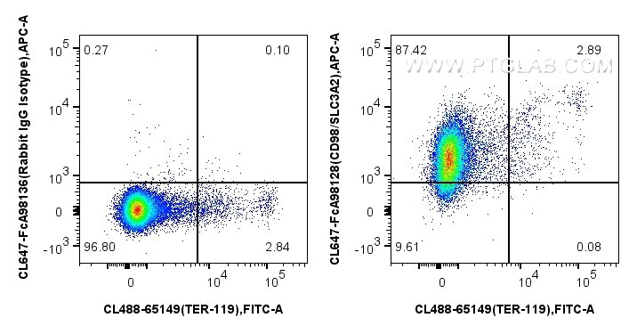 FC experiment of mouse splenocytes using CL647-FcA98128 Flow cytometry (FC) experiment of mouse splenocytes using FcZero-rAb® CoraLite® Plus 647 Anti-Mouse CD98/SLC (CL647-FcA98128)