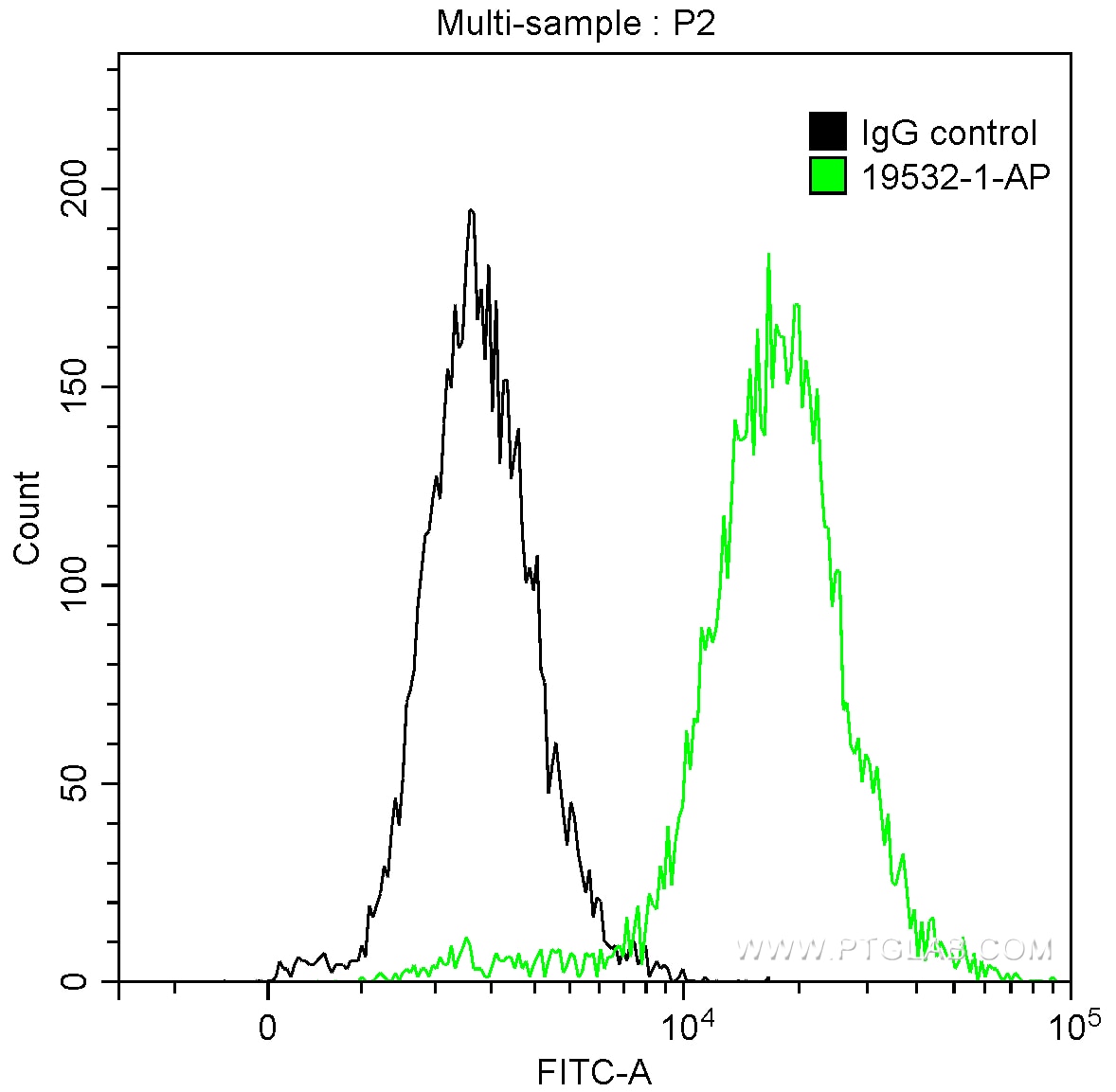 CDK1-Specific