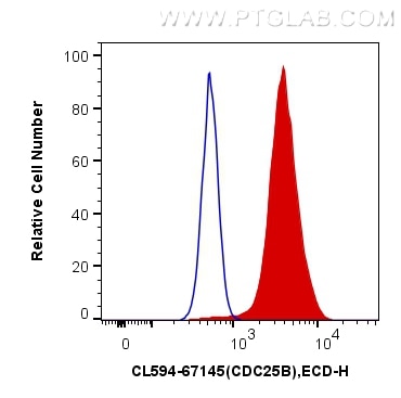 Flow cytometry (FC) experiment of Jurkat cells using CoraLite®594-conjugated CDC25B Monoclonal antibody (CL594-67145)