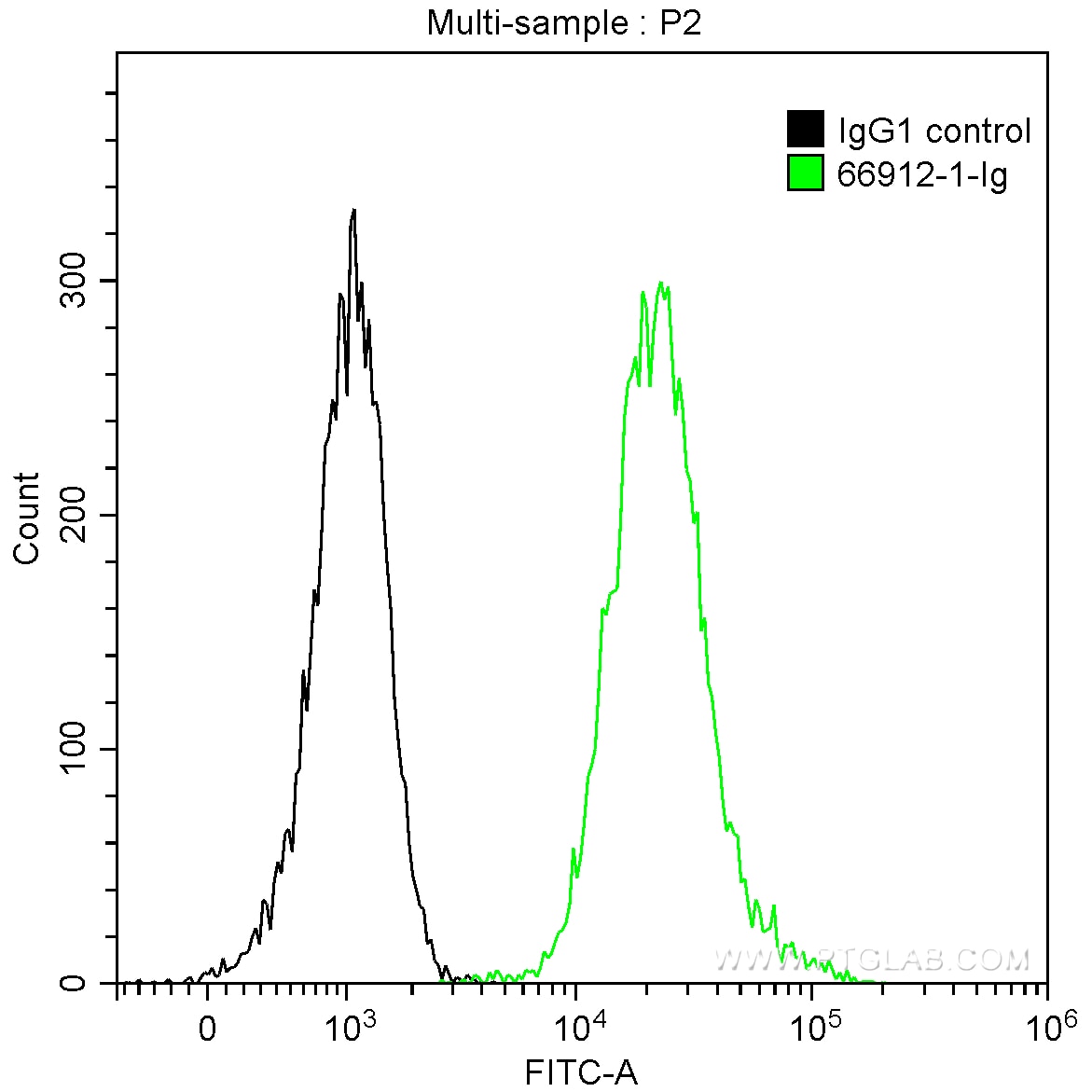 Flow cytometry (FC) experiment of K-562 cells using CDC25C Monoclonal antibody (66912-1-Ig)