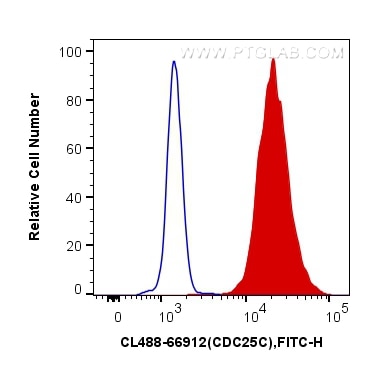 Flow cytometry (FC) experiment of K-562 cells using CoraLite® Plus 488-conjugated CDC25C Monoclonal an (CL488-66912)