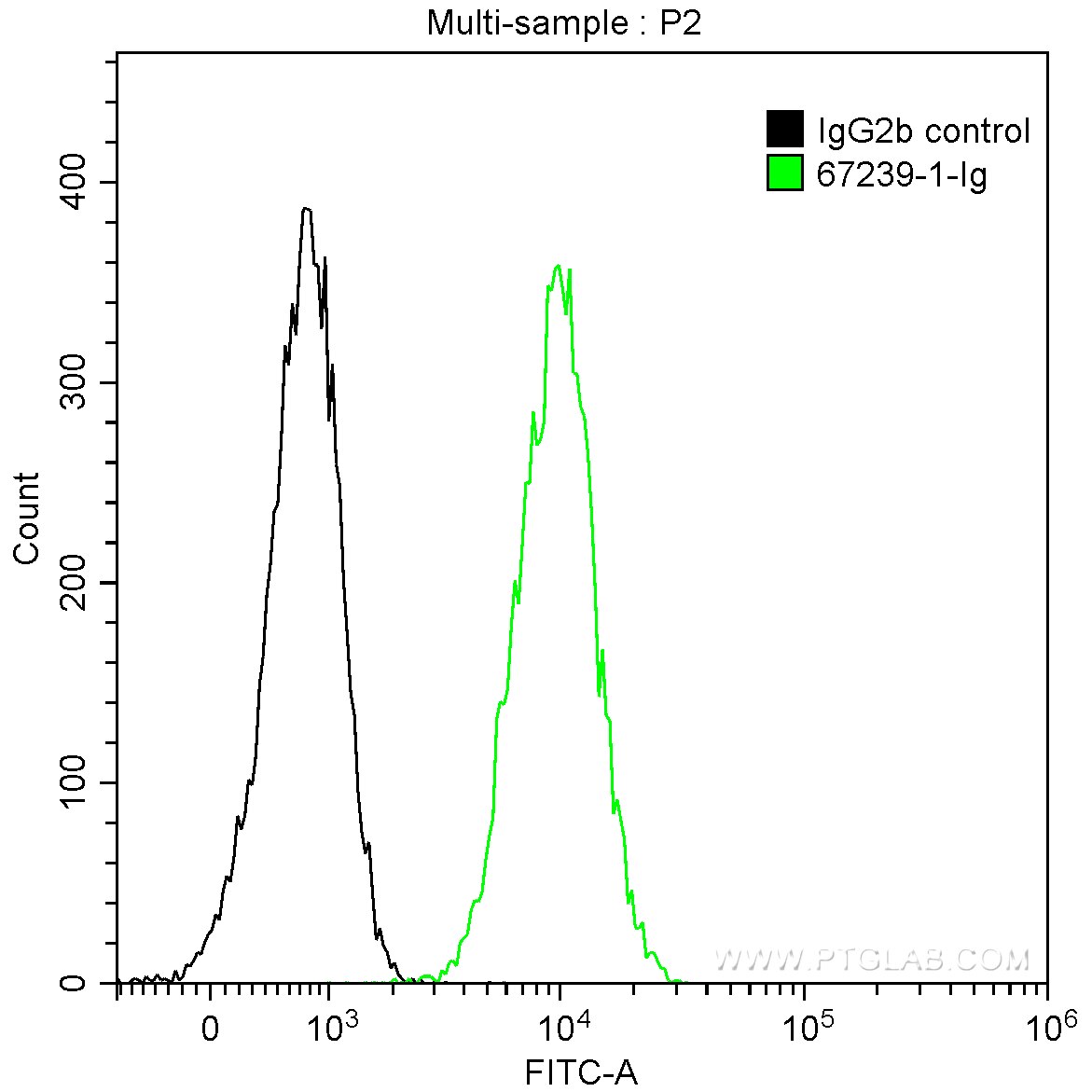 FC experiment of K-562 using 67239-1-Ig