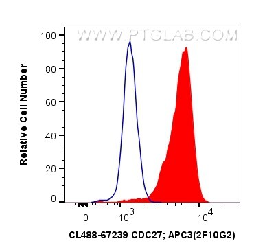 CDC27; APC3