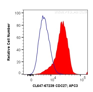 Flow cytometry (FC) experiment of K-562 cells using CoraLite® Plus 647-conjugated CDC27; APC3 Monoclon (CL647-67239)