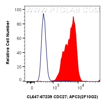 Flow cytometry (FC) experiment of K-562 cells using CoraLite® Plus 647-conjugated CDC27; APC3 Monoclon (CL647-67239)