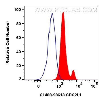 CDC2L1