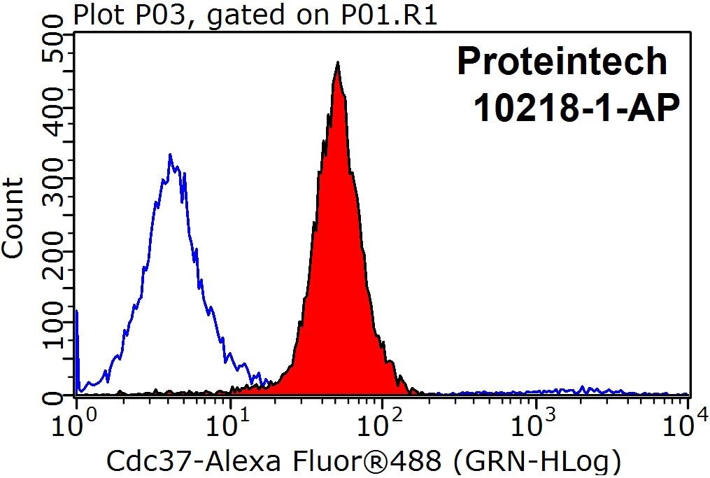 Flow cytometry (FC) experiment of MCF-7 cells using CDC37 Polyclonal antibody (10218-1-AP)