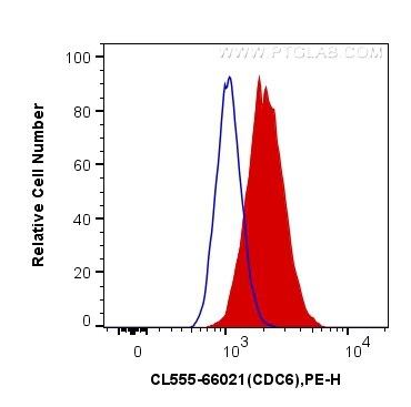 Flow cytometry (FC) experiment of HepG2 cells using CoraLite®555-conjugated CDC6 Monoclonal antibody (CL555-66021)