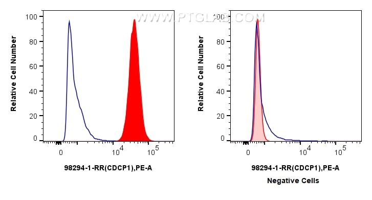Flow cytometry (FC) experiment of HT-29 cells using Anti-Human CDCP1/CD318 Rabbit Recombinant Antibody (98294-1-RR)