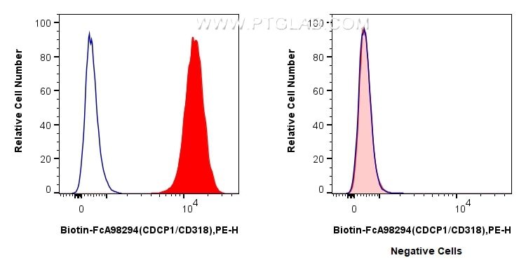 FC experiment of HT-29 using Biotin-FcA98294 Flow cytometry (FC) experiment of HT-29 cells using FcZero-rAb™ Biotin Anti-Human CDCP1/CD318 Rabbit R (Biotin-FcA98294)