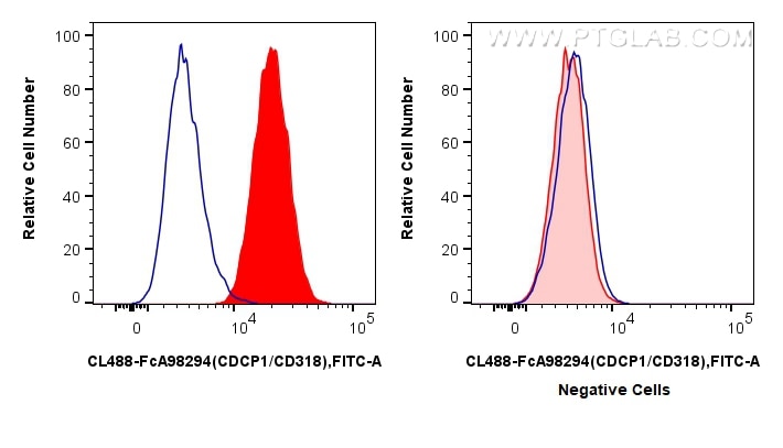 FC experiment of HT-29 using CL488-FcA98294 Flow cytometry (FC) experiment of HT-29 cells using FcZero-rAb® CoraLite® Plus 488 Anti-Human CDCP1/CD (CL488-FcA98294)