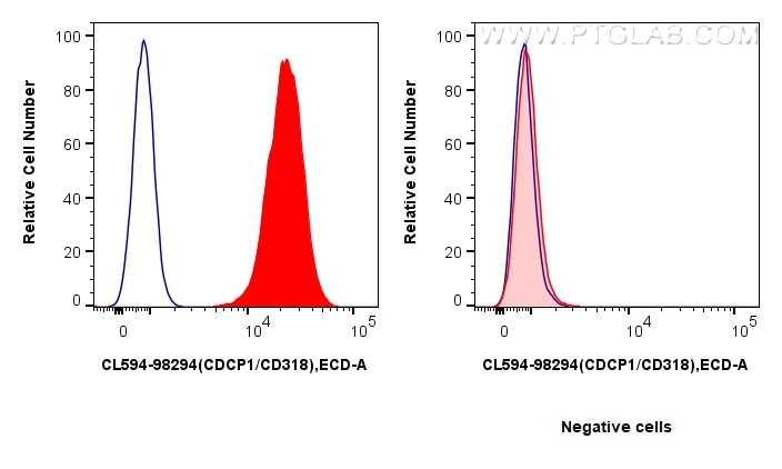 1x10^6 HT-29 cells (left) or MCF-7 cells (right) were surface stained with 5 ul CoraLite®594 Anti-Human CDCP1/CD318 Rabbit RecAb (CL594-98294, Clone: 242428F9) (red) or CoraLite®594 Rabbit IgG Isotype Control RecAb (CL594-98136, Clone: 240953C9) (blue). Cells were not fixed. Flow cytometry (FC) experiment of HT-29 cells using CoraLite®594 Anti-Human CDCP1/CD318 Rabbit Recombi (CL594-98294)