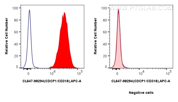 1x10^6 HT-29 cells (left) or MCF-7 cells (right) were surface stained with 5 ul CoraLite® Plus 647 Anti-Human CDCP1/CD318 Rabbit RecAb (CL647-98294, Clone: 242428F9) (red) or CoraLite® Plus 647 Rabbit IgG Isotype Control RecAb (CL647-98136, Clone: 240953C9) (blue). Cells were not fixed. Flow cytometry (FC) experiment of HT-29 cells using CoraLite® Plus 647 Anti-Human CDCP1/CD318 Rabbit R (CL647-98294)