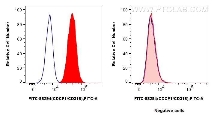 1x10^6 HT-29 cells (left) or MCF-7 cells (right) were surface stained with 5 ul FITC Plus Anti-Human CDCP1/CD318 Rabbit RecAb (FITC-98294, Clone: 242428F9) (red) or FITC Plus Rabbit IgG Isotype Control RecAb (FITC-98136, Clone: 240953C9) (blue). Cells were not fixed. Flow cytometry (FC) experiment of HT-29 cells using FITC Plus Anti-Human CDCP1/CD318 Rabbit Recombinan (FITC-98294)