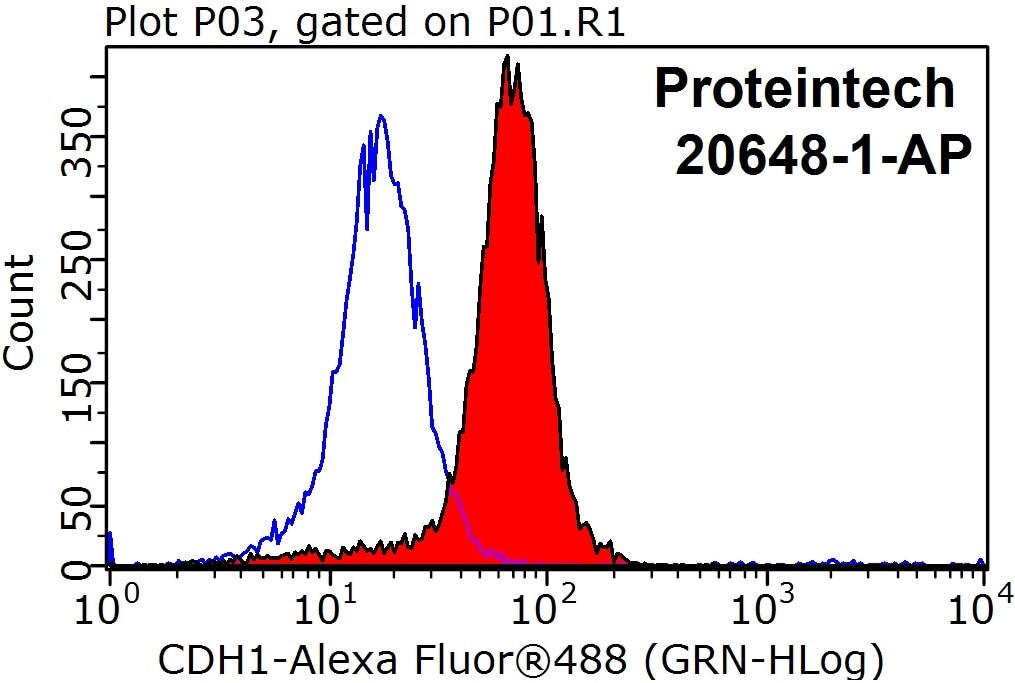 Flow cytometry (FC) experiment of HepG2 cells using E-cadherin Polyclonal antibody (20648-1-AP)