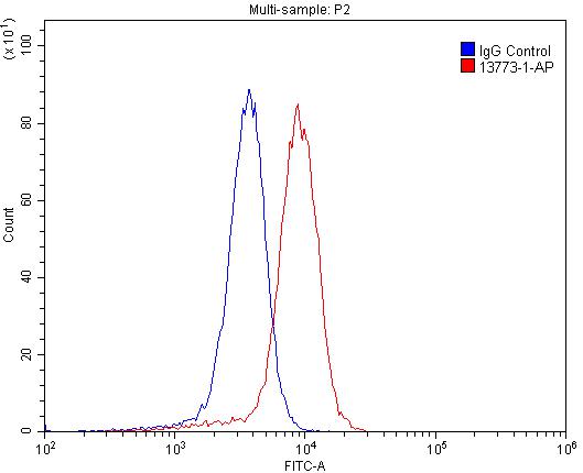 P-cadherin