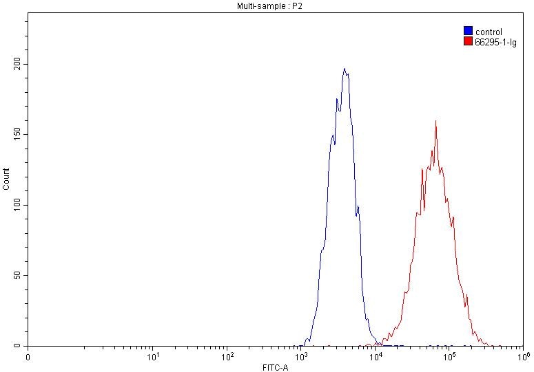 FC experiment of A431 using 66295-1-Ig