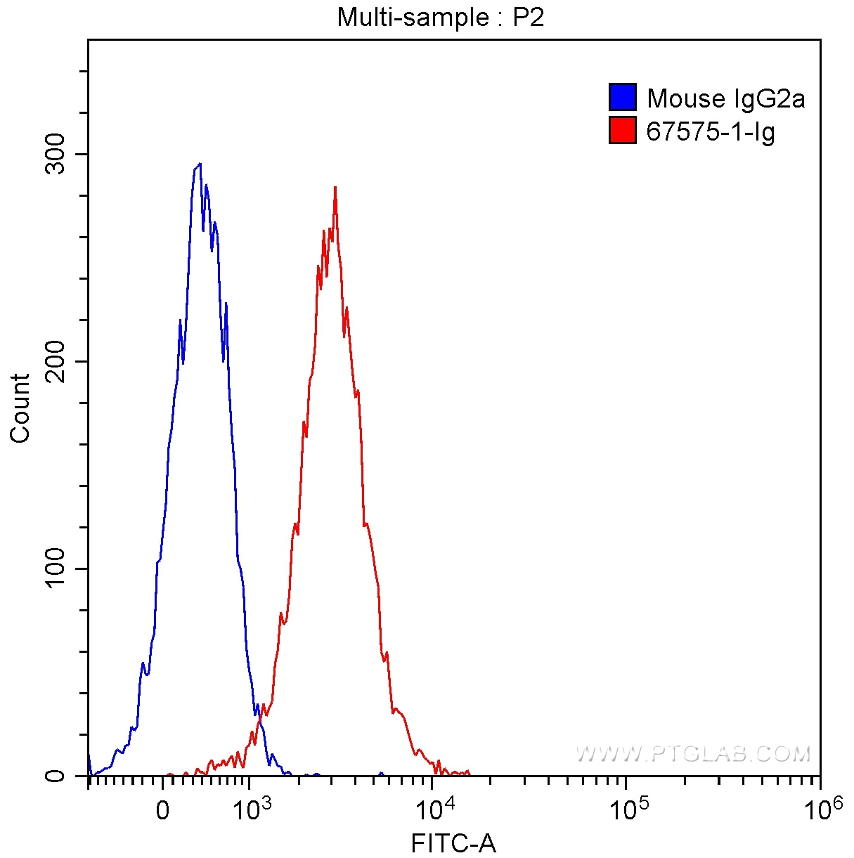 Flow cytometry (FC) experiment of HeLa cells using CDK1 Monoclonal antibody (67575-1-Ig)